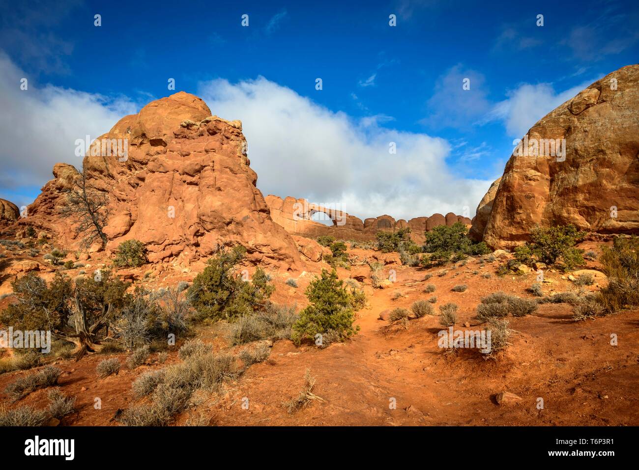 Skyline Arch, Arches-Nationalpark in der Nähe von Moab, Utah, USA Stockfoto