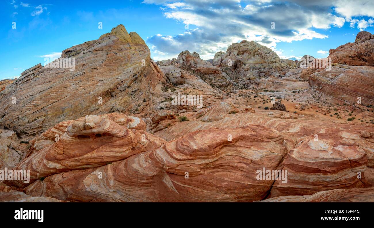 Bunt, Rot Orange Felsformationen, Sandsteinfelsen, Wanderweg, White Dome Trail, Valley of Fire State Park, Mojave Desert, Nevada, USA Stockfoto