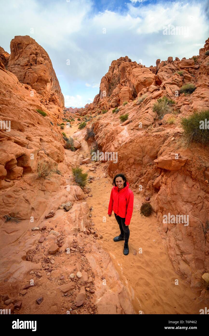 Weibliche Wanderer auf Rainbow Vista Trail, rote Sandsteinfelsen, Mojave Wüste, Sandstein Bildung, Valley of Fire State Park, Nevada, USA Stockfoto