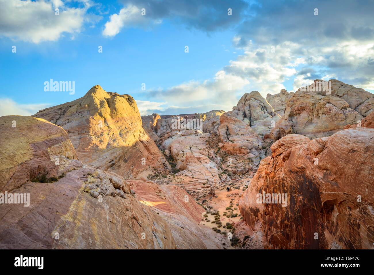 Bunt, Rot Orange Felsformationen, Sandsteinfelsen, Wanderweg, White Dome Trail, Valley of Fire State Park, Mojave Desert, Nevada, USA Stockfoto