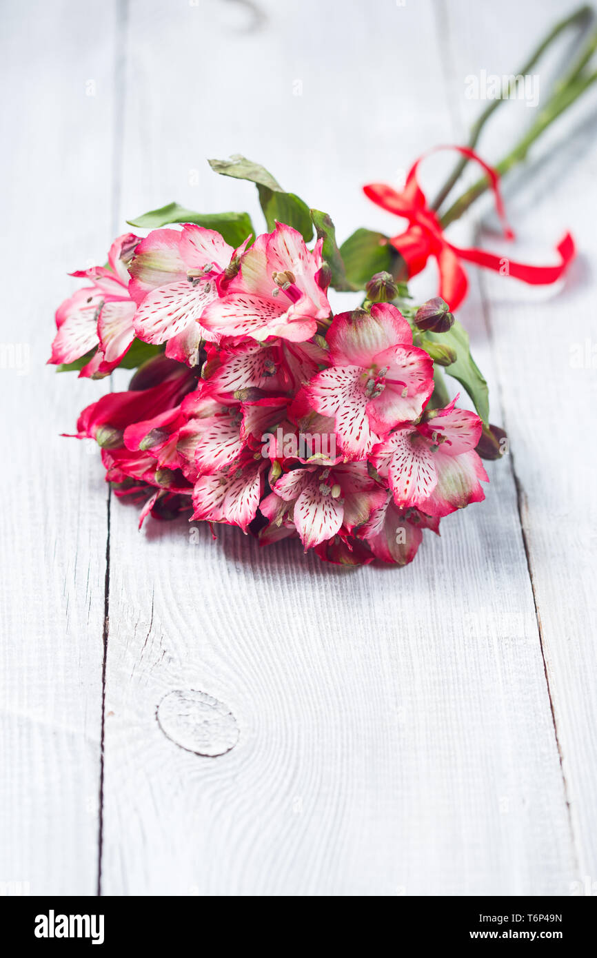 Alstroemeria Blumen Stockfoto Alstroemeria Blumen Stockfoto