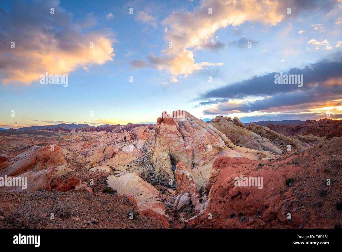 Bunt, rot orange Felsformationen bei Sonnenuntergang mit farbigen Wolken, weißen Kuppel, Sandsteinfelsen, Valley of Fire State Park, Mojave Desert, Nevada, USA Stockfoto
