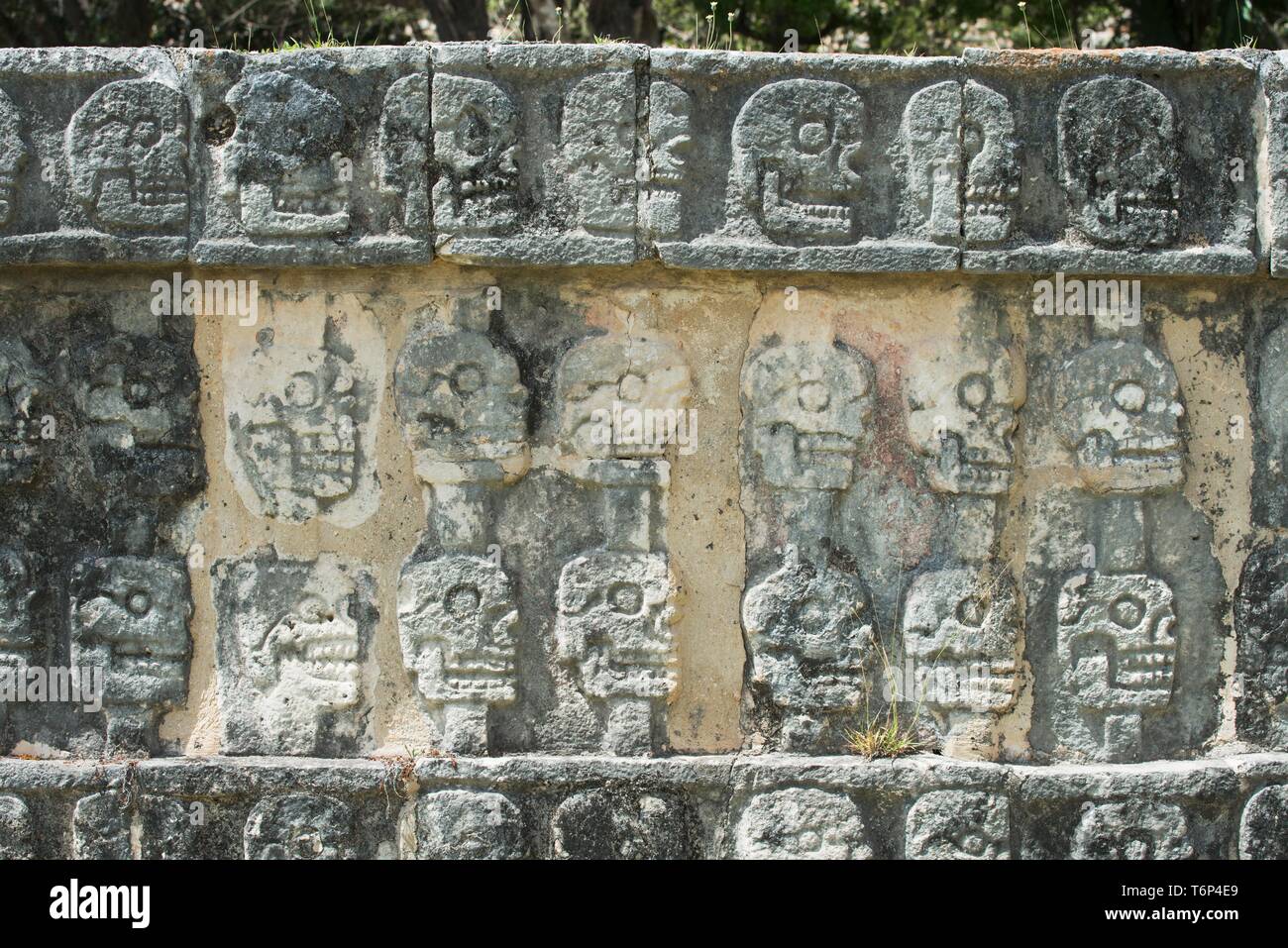 Bas-Relief, Schädel Carved In Stone, Maya Stadt Chichen Itza, Yucatan, Mexiko Stockfoto