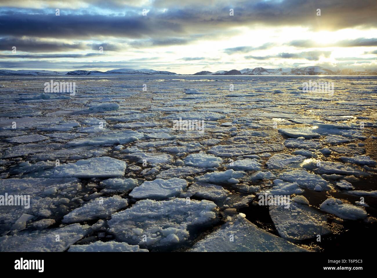 Brash Eis in den Fjord, Spitzbergen, Norwegen, Arktis Stockfoto