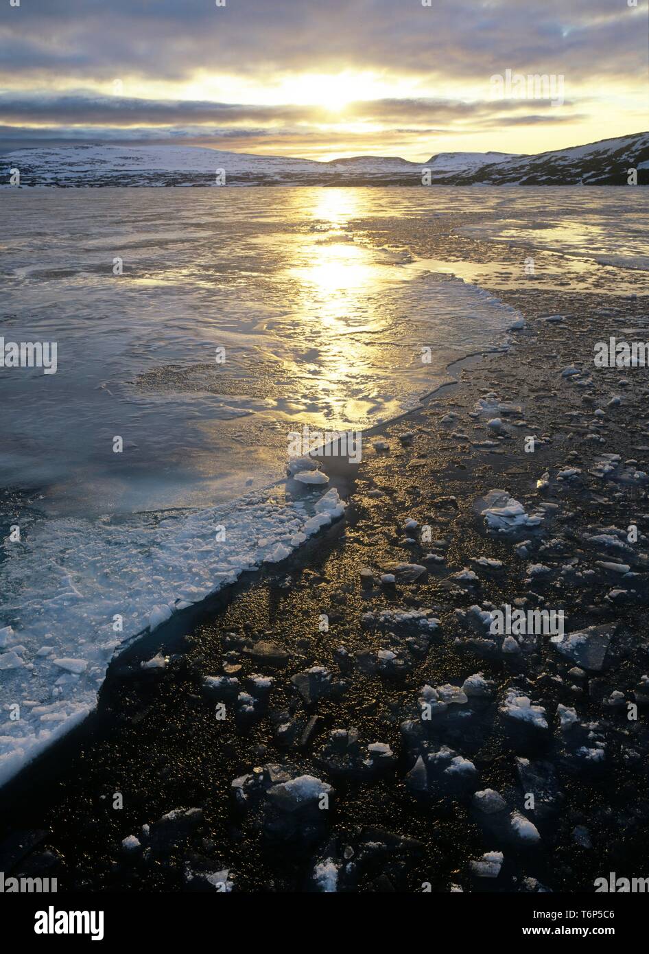 Brash Eis in den Fjord, Spitzbergen, Norwegen, Arktis Stockfoto