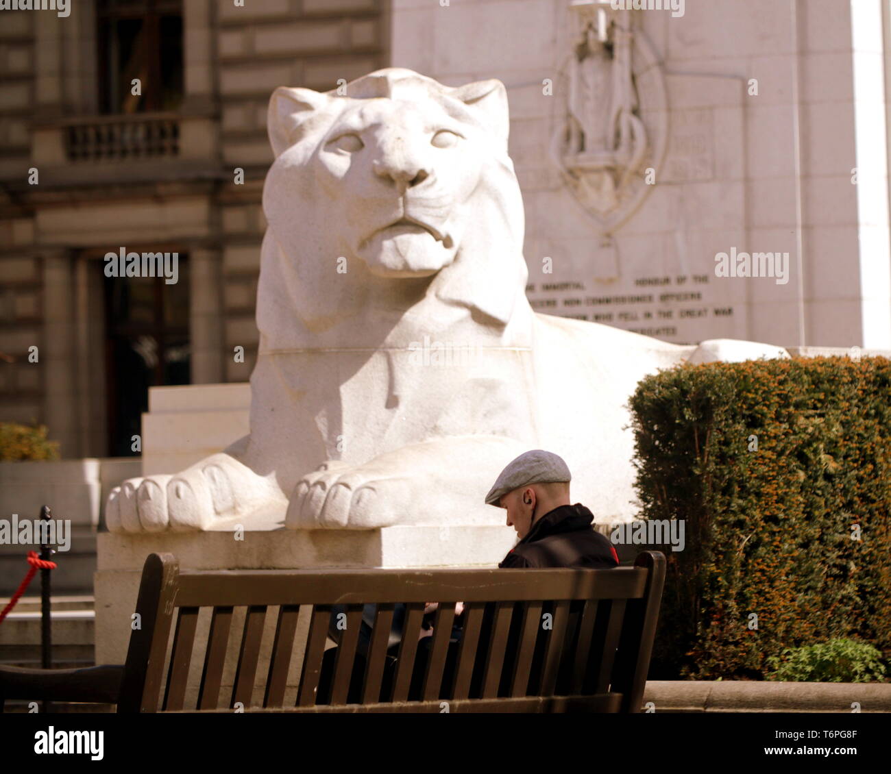 Glasgow, Schottland, UK, 2. Mai, 2019, UK Wetter. Sonnige George Square kenotaph Lion in der Stadt hatten ein Sommertag Wetter. Kredit Gerard Fähre / alamy Leben Nachrichten Stockfoto