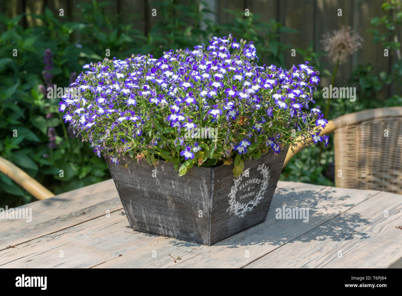 Gartentisch, verziert mit blauen Seen Stockfoto
