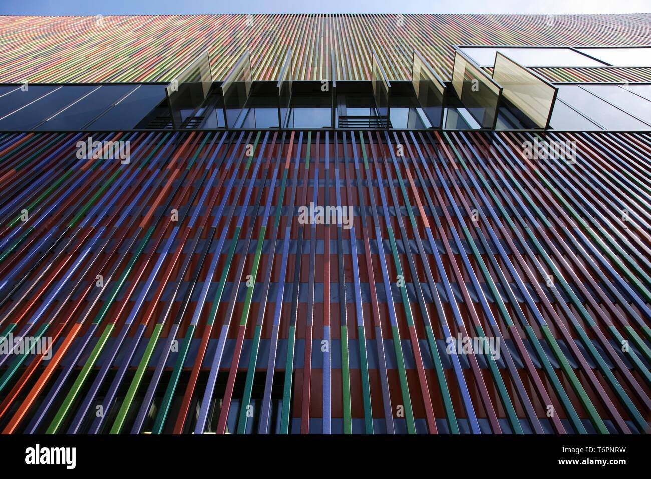 Museum Brandhorst, München, Bayern, Deutschland, Europa Stockfoto