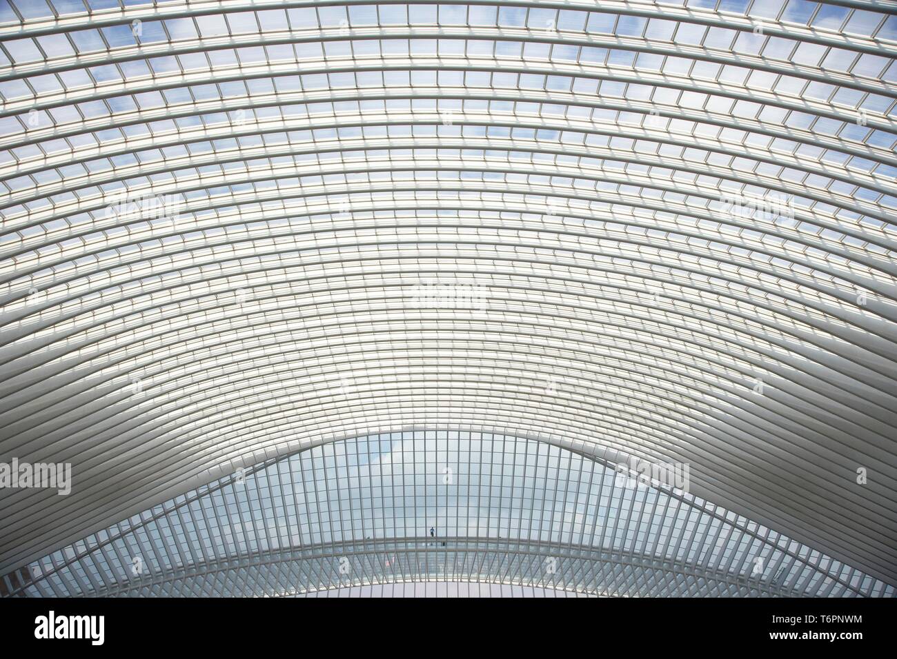 Gare de Liege-Guillemins Bahnhof von Architekt Santiago Calatrava in Lüttich, Belgien, Europa Stockfoto