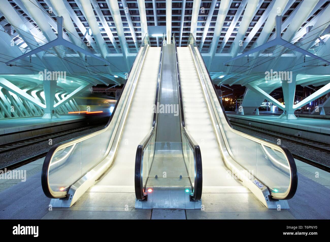 Gare de Liege-Guillemins Bahnhof von Architekt Santiago Calatrava in Lüttich, Belgien, Europa Stockfoto