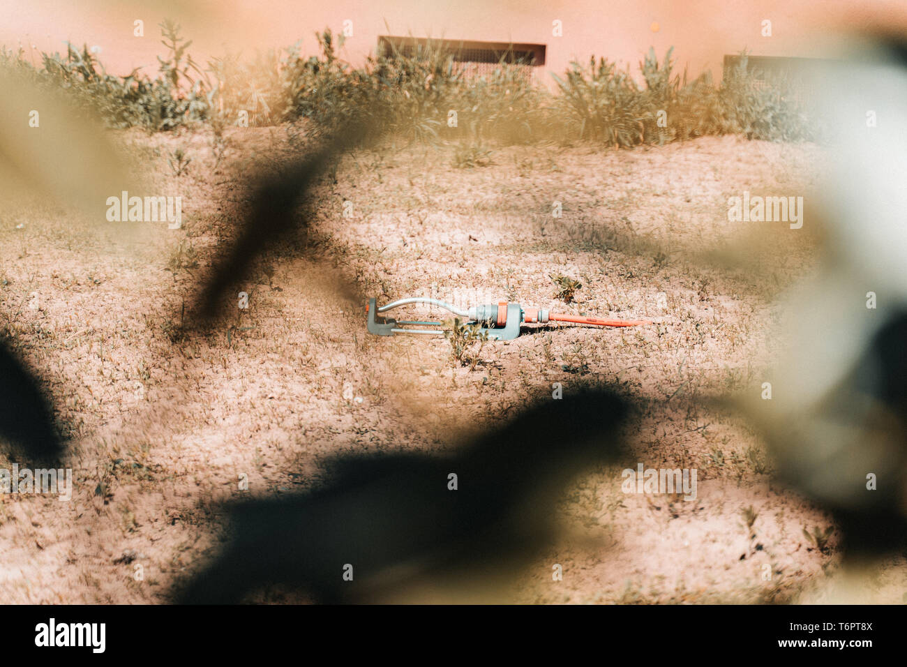 Verzweifelter Versuch, trockener Erde mit einer Sprinkleranlage in einem Garten zu befeuchten in Deutschland 2019 Stockfoto