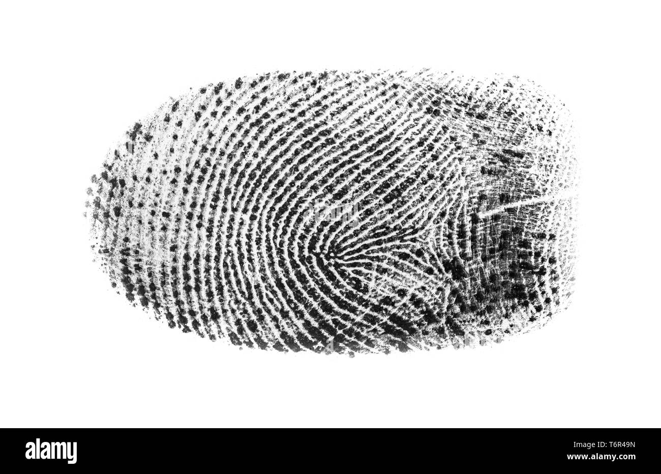 Makro Nahaufnahme von einem einzigen fettige Fingerabdrücke auf einem weißen Hintergrund. Fingerprint Ausschnitt. Stockfoto