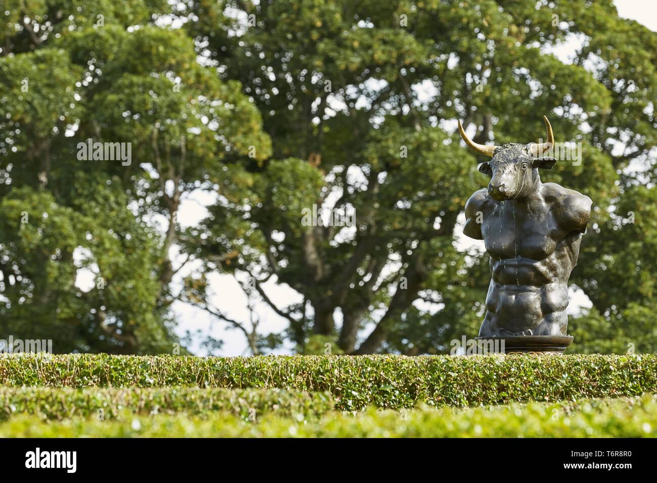 CAWDOR, Nairn, Schottland, Großbritannien - 07 August 2017: Labyrinth Labyrinth von Holly Hecken, das in der ummauerten Garten von Cawdor Castle mit Bronze minotaurus Skulptur Stockfoto