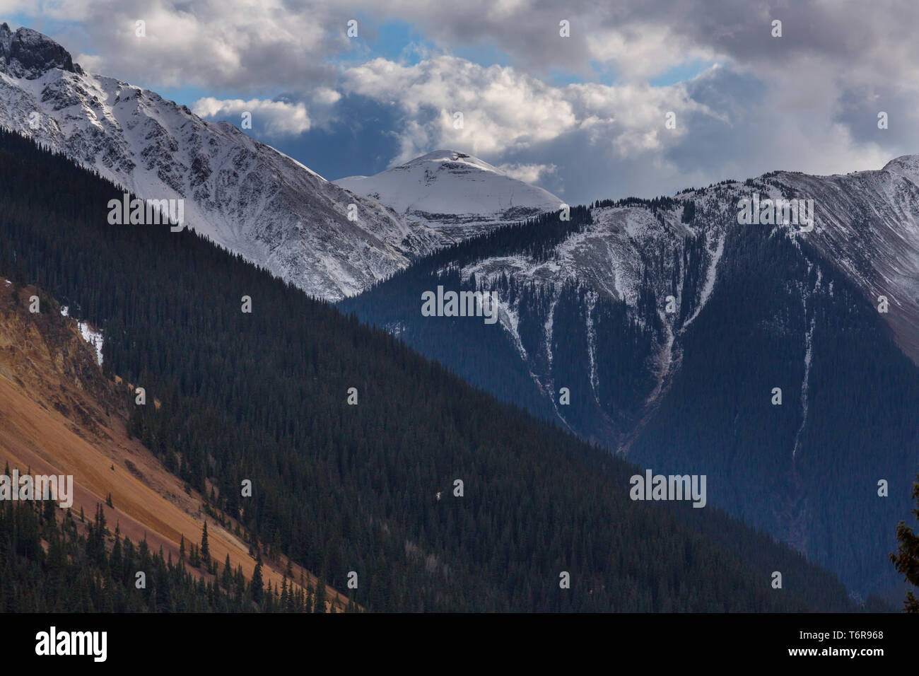 Kolorado Berge Stockfoto