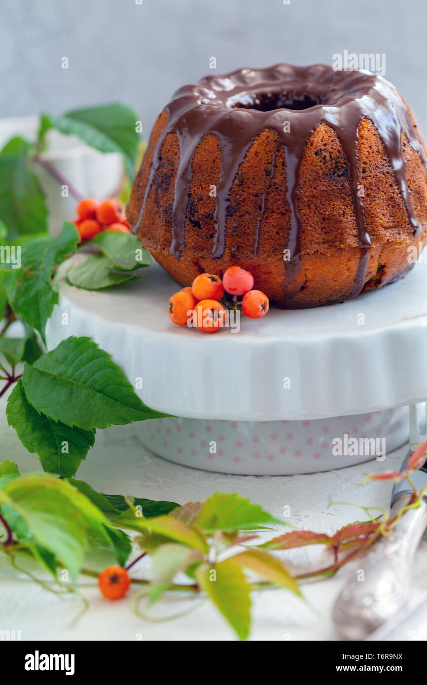 Hausgemachte Kürbis Marmor Kuchen. Stockfoto