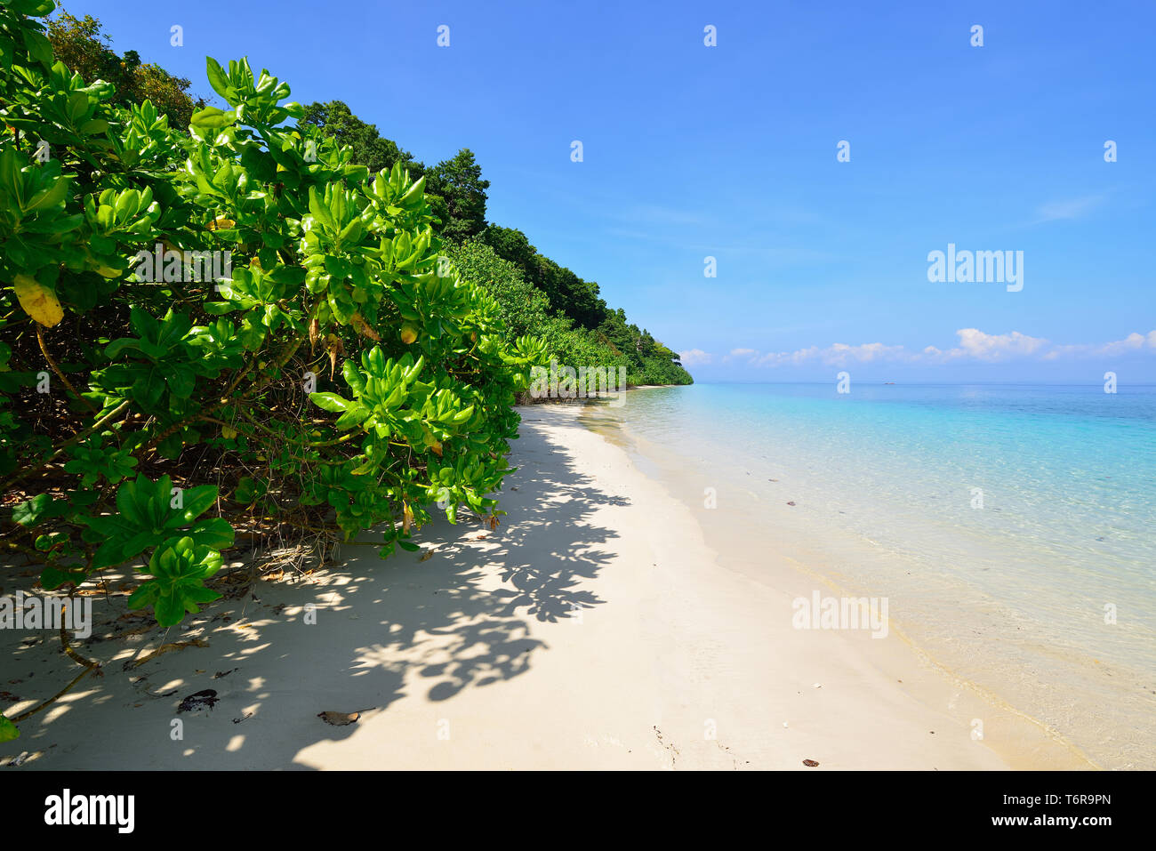 Schöne Elephant Beach an der Havelock Island der Andamanen und Nikobaren Inseln, Indien Stockfoto