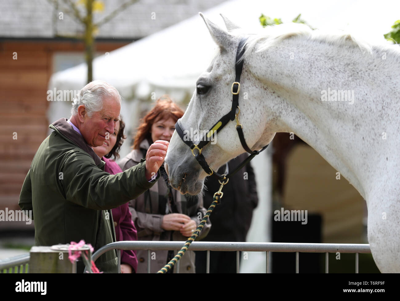 Der Prinz von Wales, bekannt als The Duke of Rothesay, während in Schottland, bei einem Besuch der Frühlingsfest der Landwirtschaft in Dumfries House in Ayrshire. Stockfoto