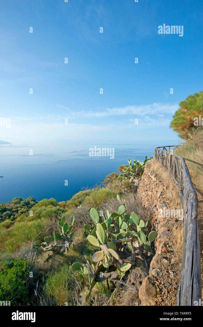 Fossa delle Felci Mountain Reserve, die Äolischen Inseln, Salina, Sizilien Italien, Europa Stockfoto