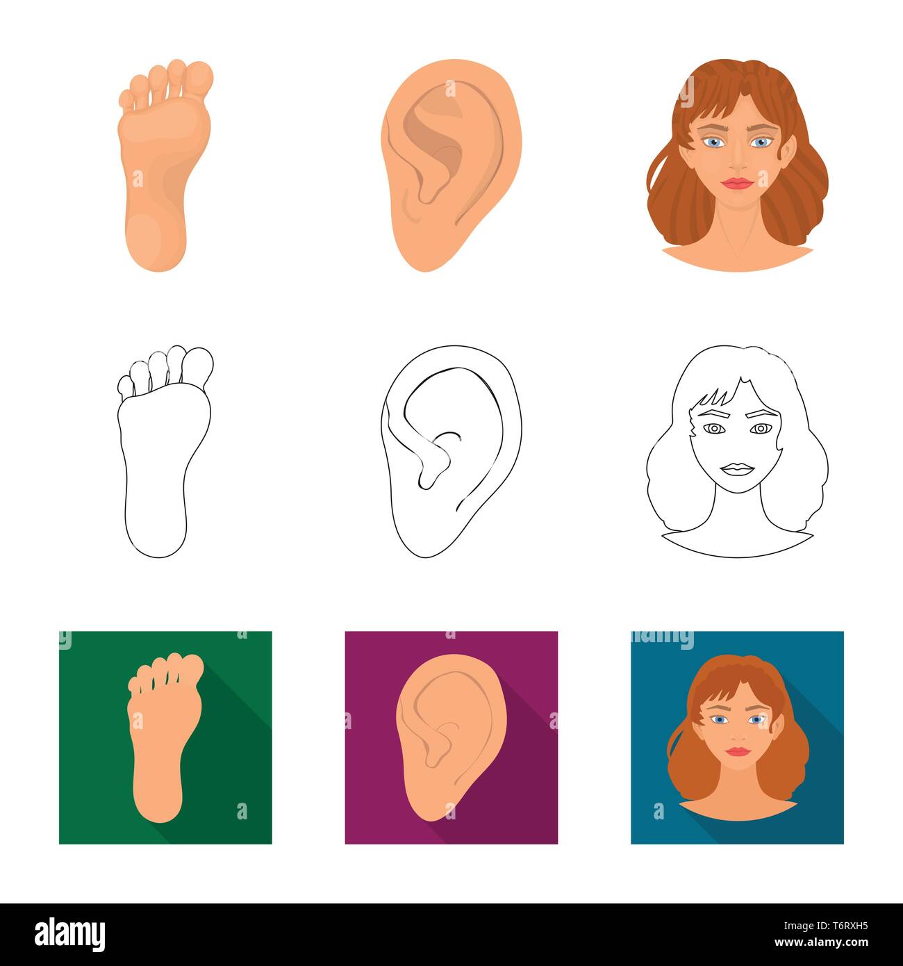 Vector Illustration von Körper und Symbol. Satz von Körper und Anatomie ...