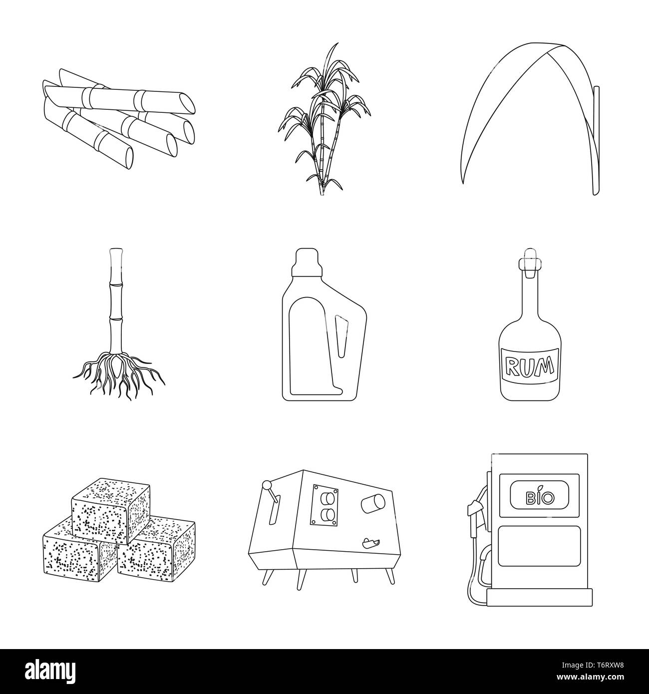 Stick, Bush, Blatt, Wurzel, Haushalt, Rum, Cube, Entsafter, Benzin, Saft, Palm, Grün, System, Chemikalien, Flasche, Lebensmittel, Maschinen, Düse, Ernte, Säule, Prozess, Kapazität, Plätze, Apparate, Station, Stiel, Eco, Entwicklung, Zucker, Feld, Pflanze, Plantation, Agrar, Landwirtschaft, Saccharose, Technologie, Zuckerrohr, Zuckerrohr, Set, Vector, Icon, Illustration, isoliert, Sammlung, Design, Element, Grafik, Zeichen, Outline, Linie Vektor Vektoren, Stock Vektor