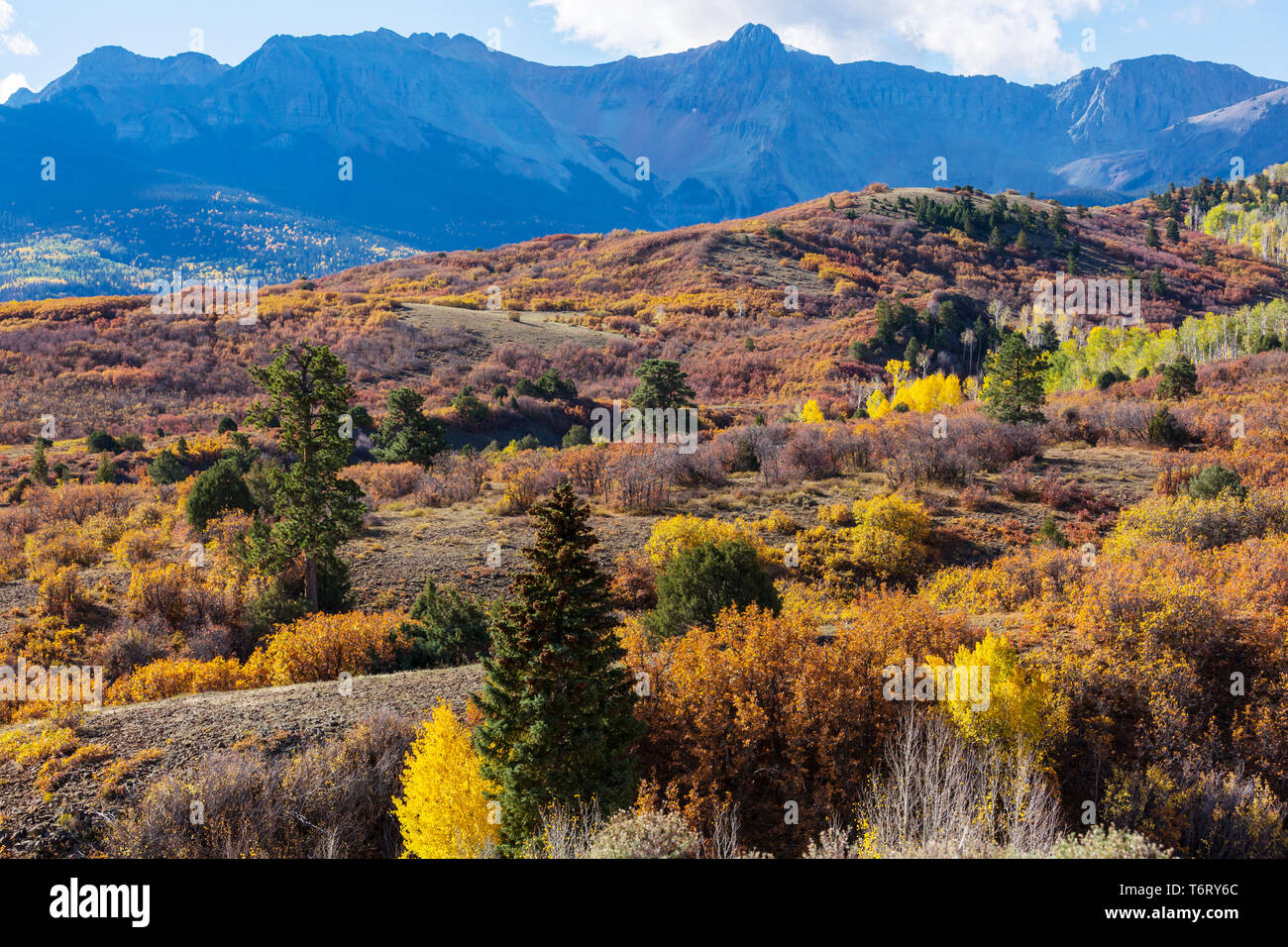 Herbst in Colorado Stockfoto