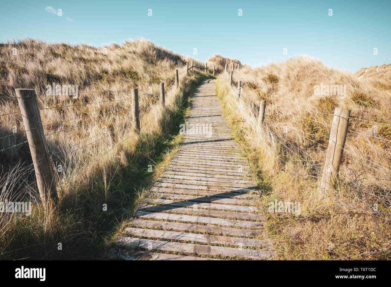 Einen Holzsteg/Wanderweg schlängelt sich durch Dünen in wilde Gräser im West Beach Nature Reserve in Littlehampton, West Sussex, UK. Stockfoto