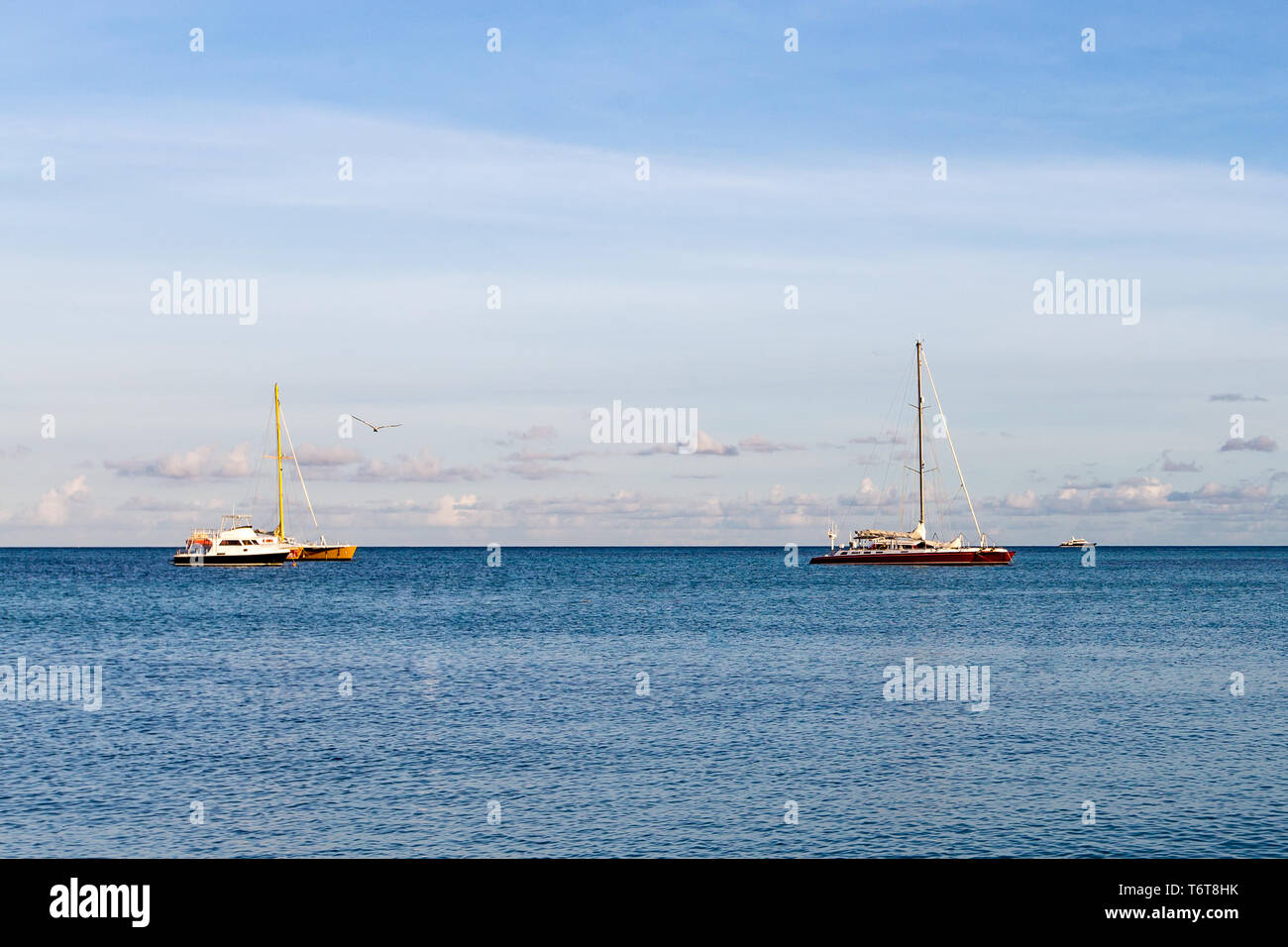 Katamaran Segelboote vor der Küste von Aruba in der Karibik Stockfoto