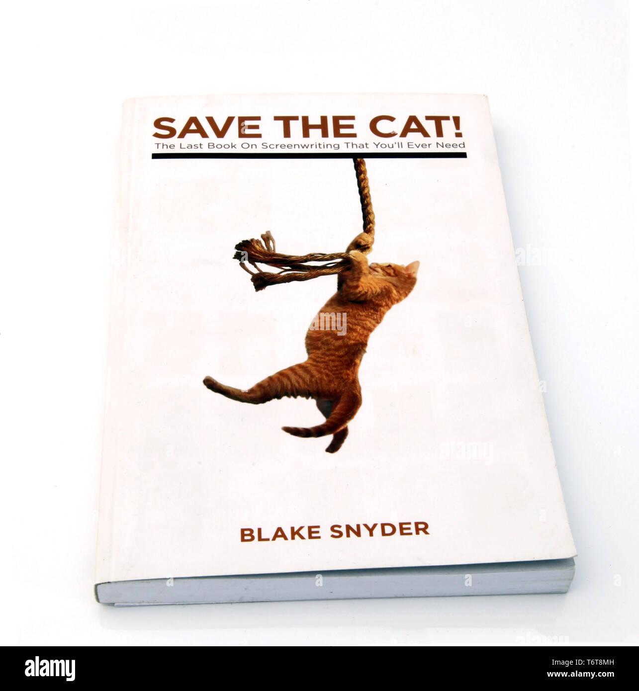 Abdeckung Bild speichern die Katze von Blake Snyder, 2005 Stockfoto