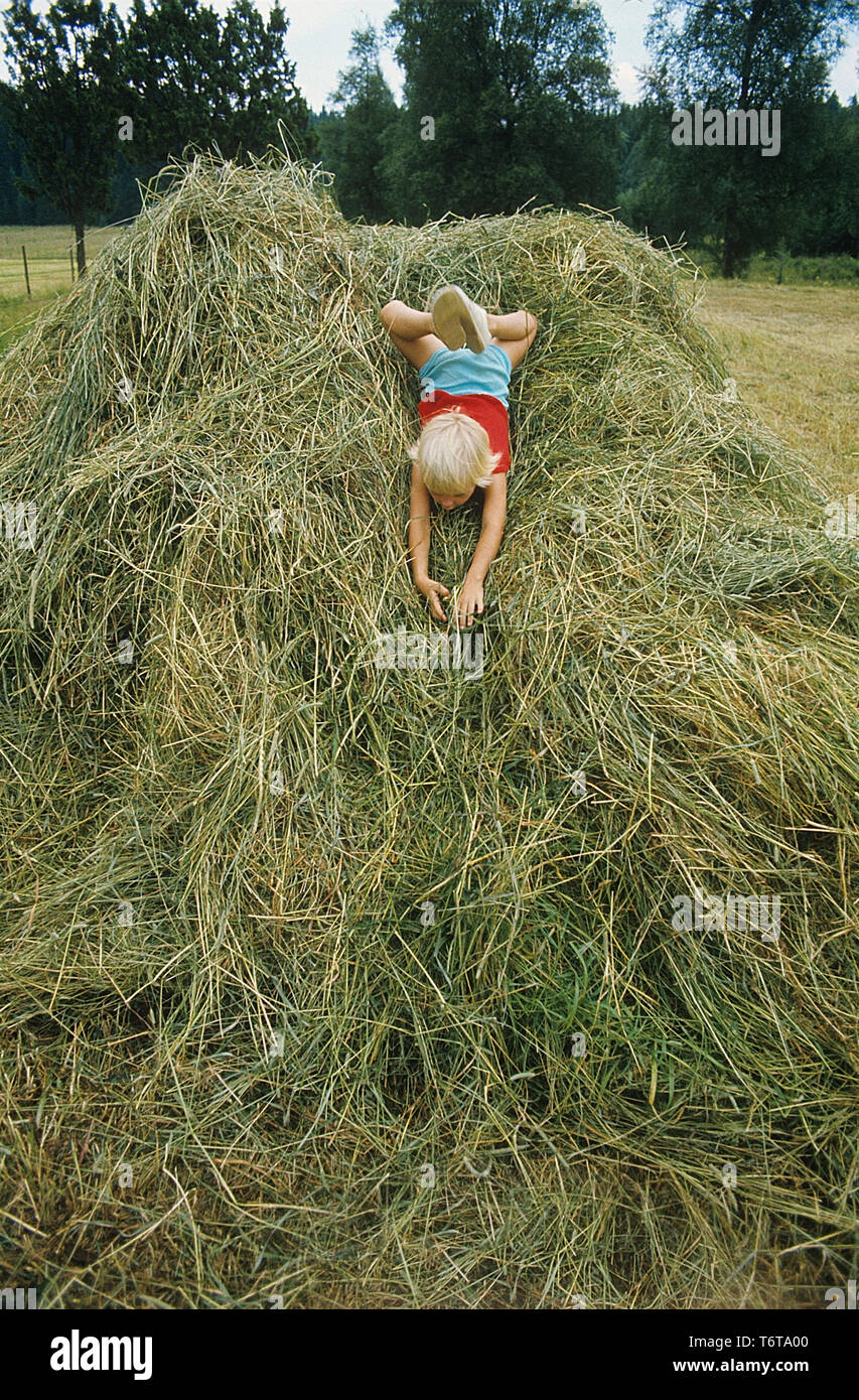 Sommer in den 1970er Jahren. Ein Bild von einem Jahrzehnt, wenn es immer noch Leute bewirtschaften ihr Land in einem kleinen Maßstab. Abgebildet ist ein Junge spielt im Heu auf einem Feld. Etwas, was Spass macht. Foto Kristoffersson. Ref CV 29-16. Schweden 1973 Stockfoto