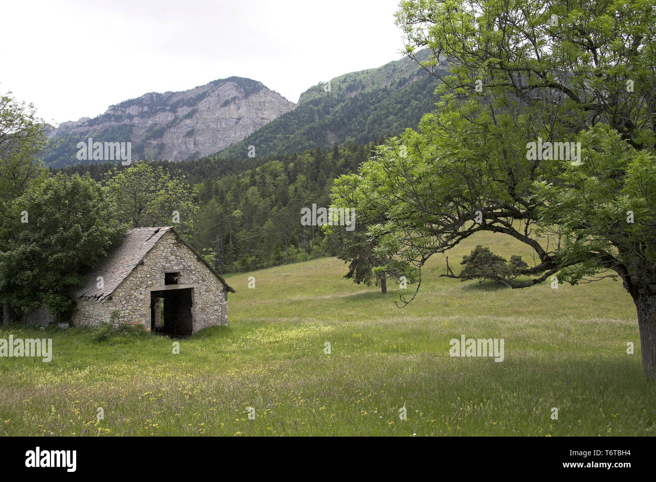 Bauernhaus in East Meadow Col du Gebet Parc Naturel Regional du Vercors Frankreich Stockfoto