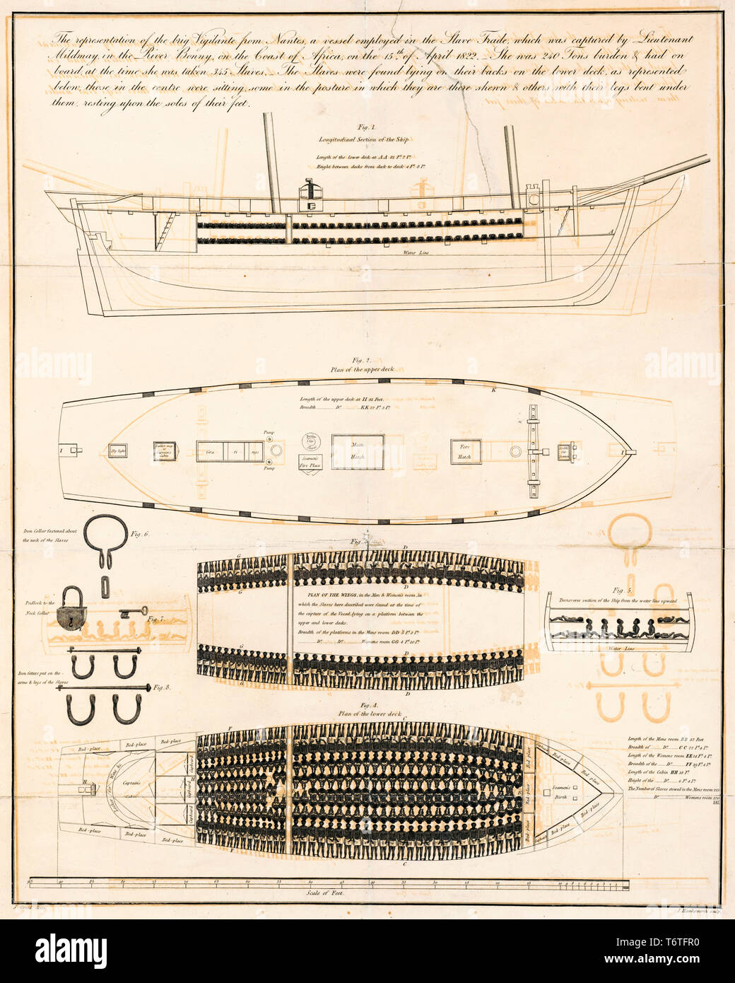 Slave ship Diagramm, wie afrikanische Sklaven waren an Bord des Schiffes während des Sklavenhandels Jahren befördert, 1823 angeordnet und Stockfoto