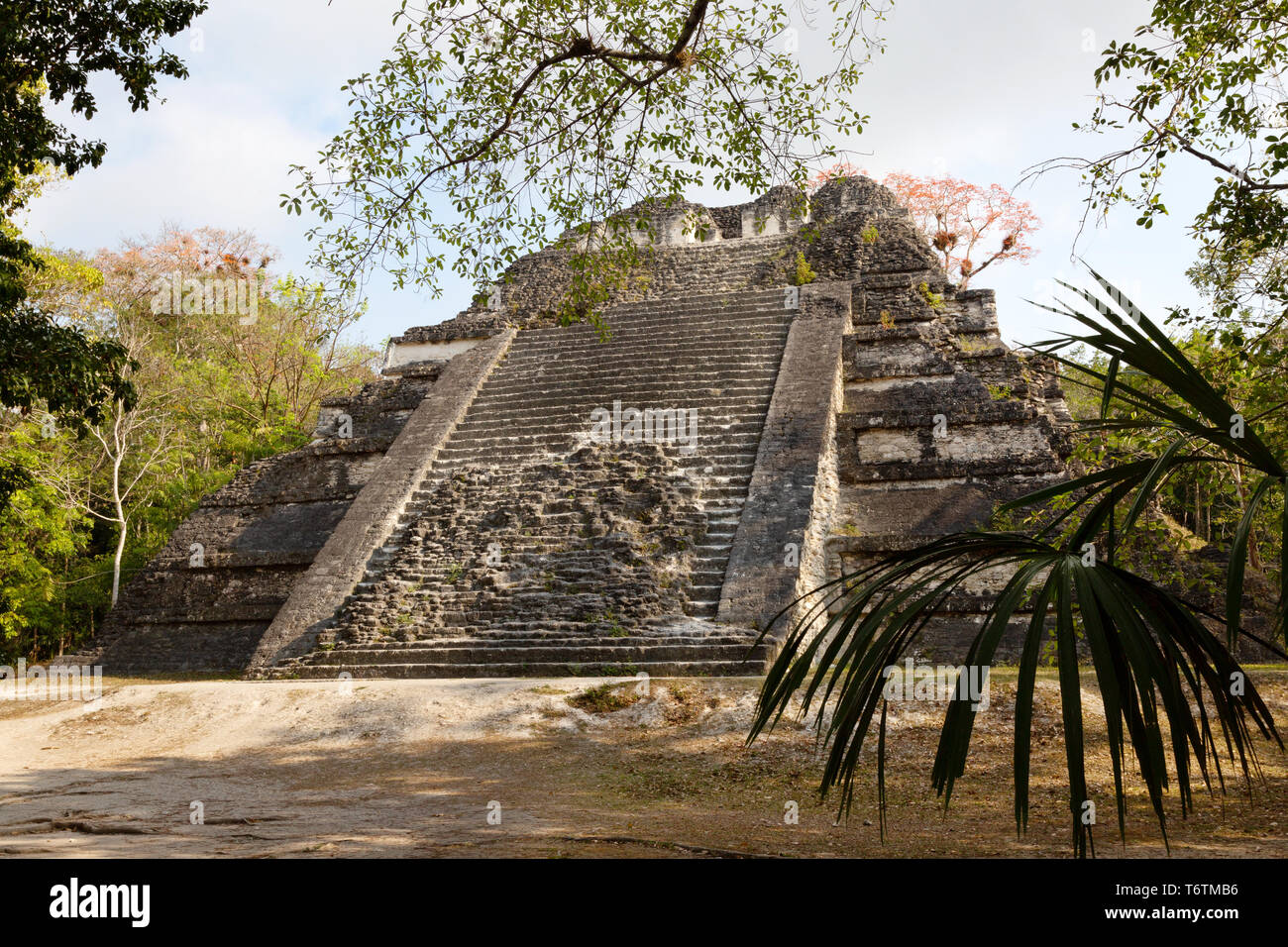 Tikal Guatemala Tempel; Mundo Perdido oder Die Verlorene Welt Tempel, Nationalpark Tikal Ruinen der Maya UNESCO Weltkulturerbe, Guatemala Mittelamerika Stockfoto