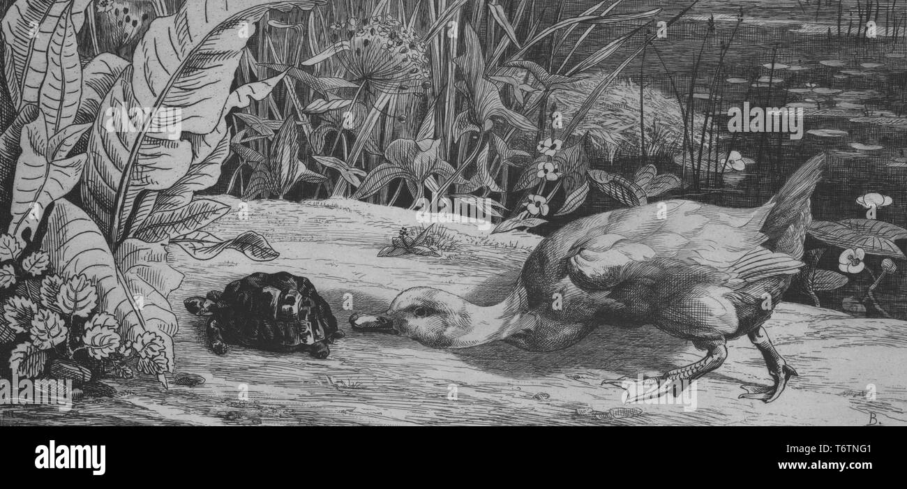 Schwarze und weiße Radierung zeigt eine Nahaufnahme eines sumpfigen Teich oder See, mit einer Ente senken ihren Schnabel auf den Boden eine kleine Schildkröte, die Köpfe in Richtung der Unterholz in den Vordergrund zu schnüffeln; vom Illustrator Felix Bracquemond; mit dem Titel "L'inconnu" (Der unbekannte); unterzeichnet, paraphiert in der rechten unteren Ecke, vom Illustrator Felix Bracquemond, 1867. Von der New York Public Library. () Stockfoto