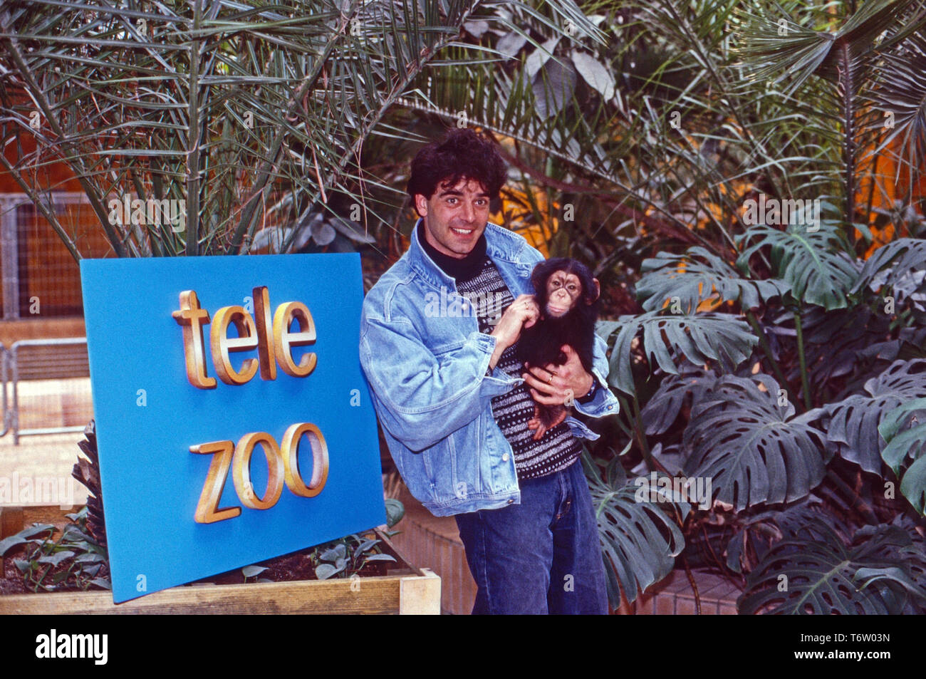 Wolfgang Binder, deutscher Moderator, mit Schimpansenbaby im Tiermagazin 'Tele-Zoo', Deutschland 1993. Deutsche TV-Moderator Wolfgang Binder mit Baby Schimpanse, Deutschland Ca. 1993. Stockfoto