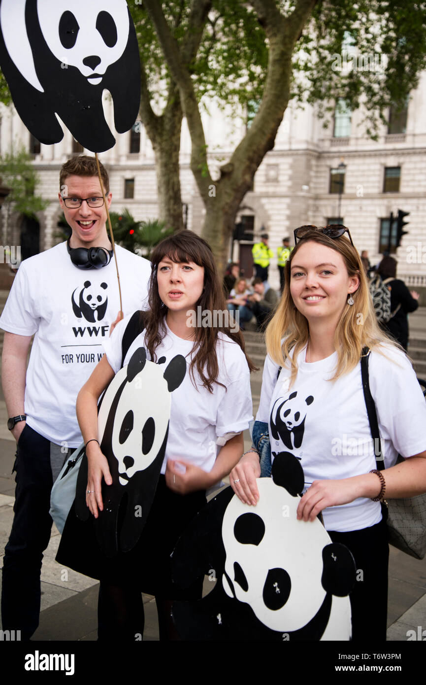 Parlament Platz 1. Mai 2019. Die Dynamik, die Jugend Klima Streikenden und Aussterben Rebellion zusammengeschlossen, die als Arbeitskosten auf die Konservativen bis d genannten Stockfoto