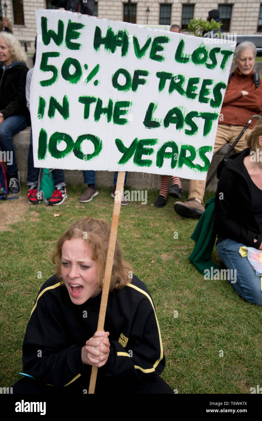 Parlament Platz 1. Mai 2019. Die Dynamik, die Jugend Klima Streikenden und Aussterben Rebellion zusammengeschlossen, die als Arbeitskosten auf die Konservativen bis d genannten Stockfoto