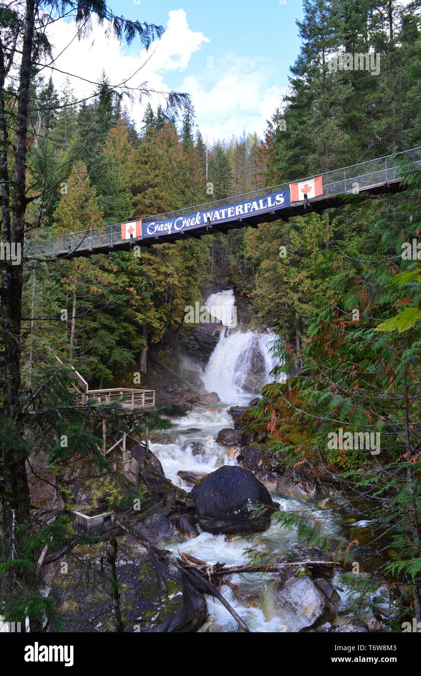 Crazy Creek Suspension Bridge Stockfoto