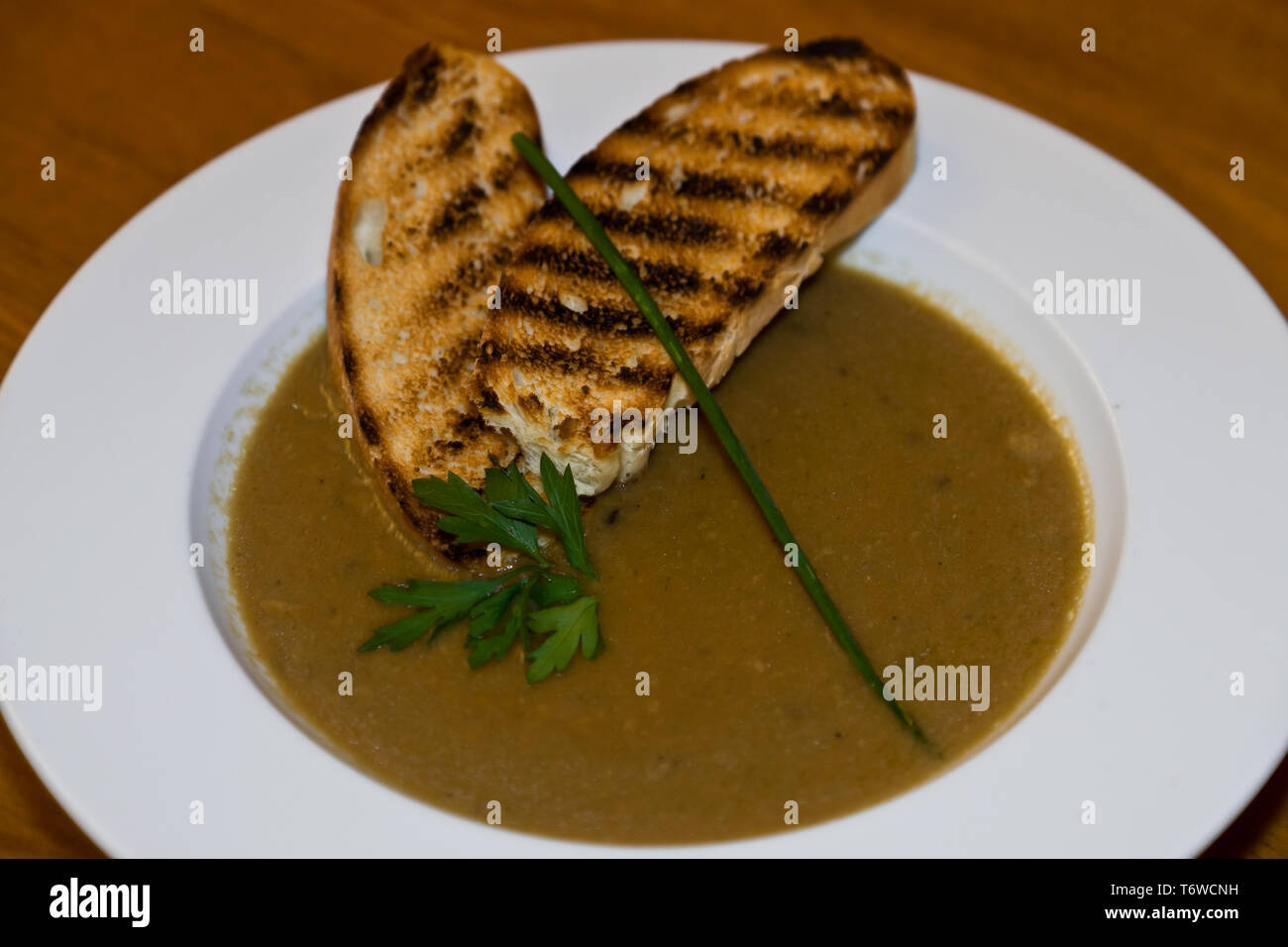 Rovereto, Piatto tipico Trentino: bro Ristretto brusà (brodo ai Funghi). [ENG] Rovereto, typische Trentiner Gericht: Bro brusà (pilz Bouillon). Stockfoto