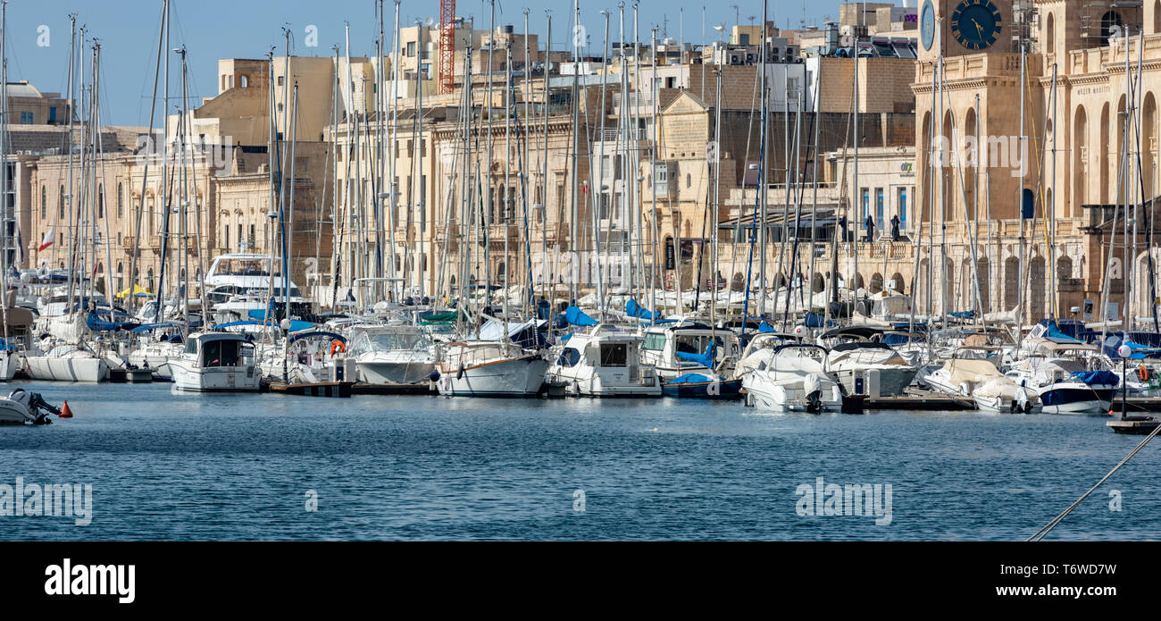 Ein Wald von Yachtmasten aus den zahlreichen Yachten und Vergnügungsschiffen, die an der Küste von Birgu in Malta festgemacht sind Stockfoto