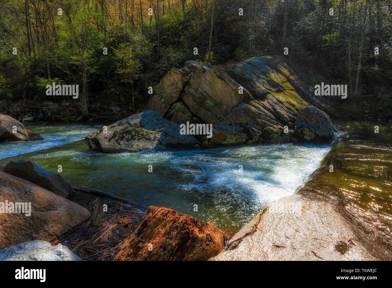 Elk River fließt durch Pisgah National Forest in Avery County in North Carolina Stockfoto