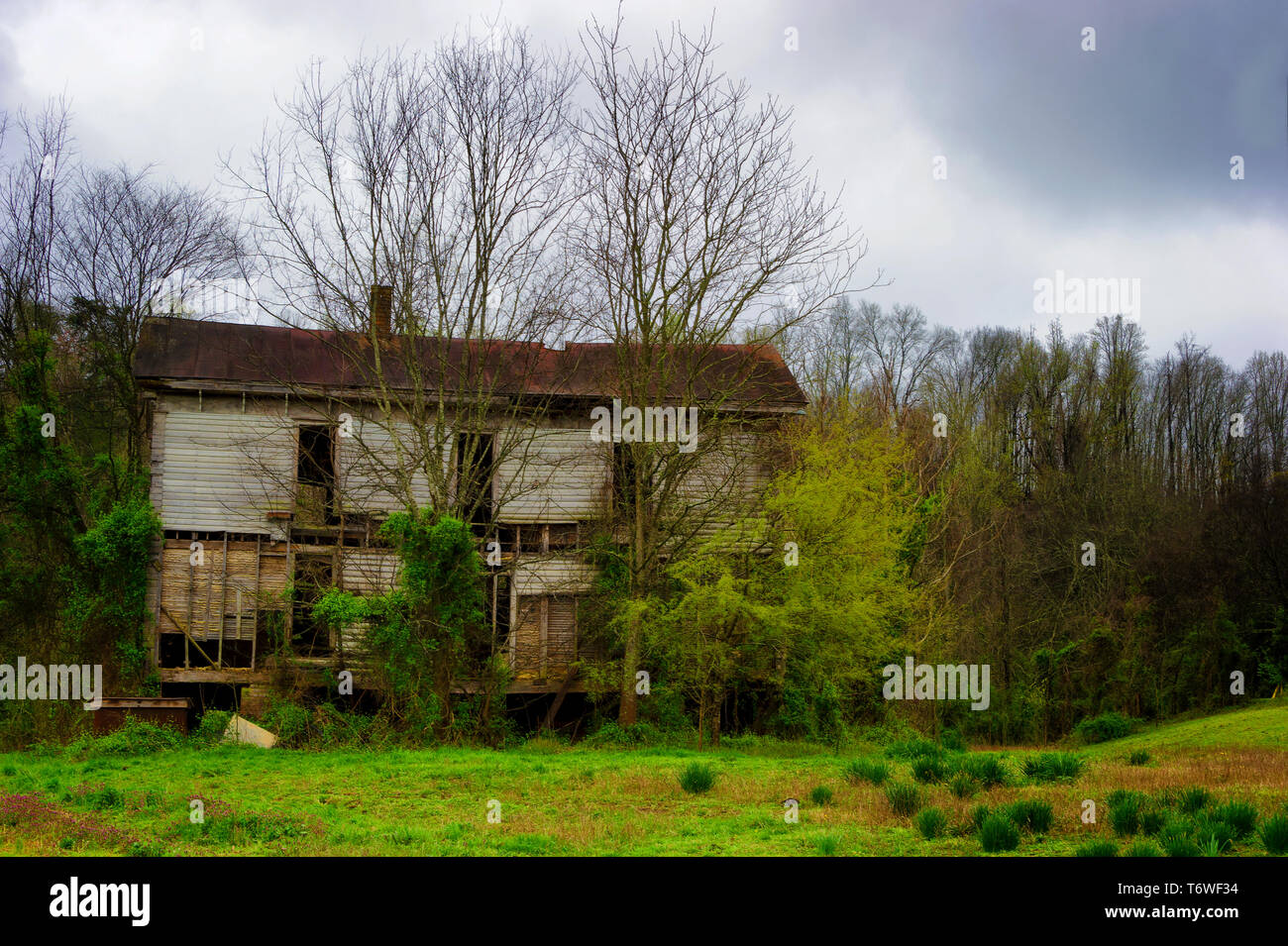 In ländlichen östlichen Tennessee bei bewölktem Himmel Feder set ein verlassenes Gebäude mit Pflanzen bewachsen. Stockfoto