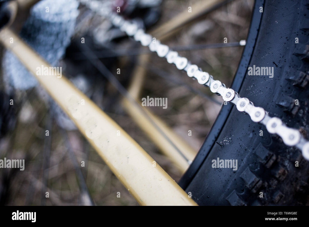 Ein detailliertes Bild von einem hinteren Mountainbike Rad und Kette. Stockfoto