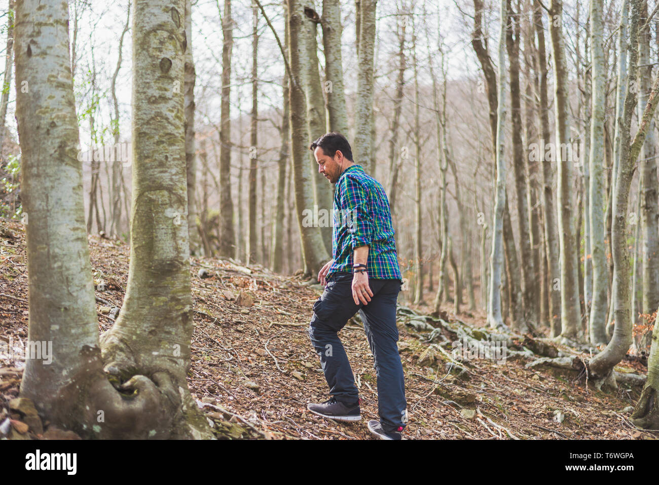 Seitenansicht eines Mannes Wandern in Wald in einem suny Tag Stockfoto