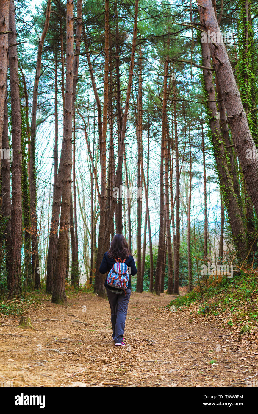 Ansicht der Rückseite des Backpacker Frau Wandern am Wochenende in den Wald Stockfoto