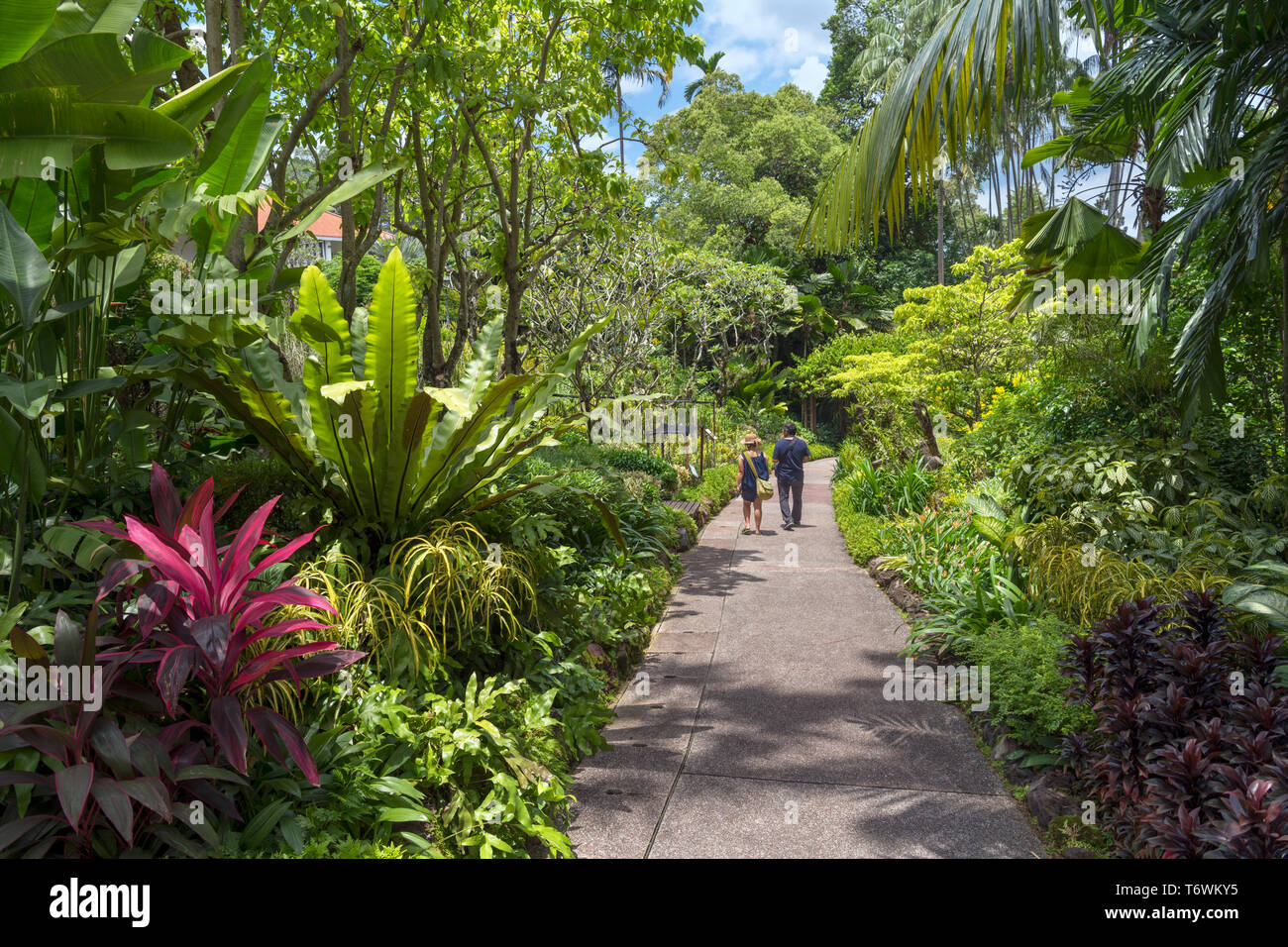 Singapore Botanic Gardens. Weg durch den National Orchid Garden, Botanischer Garten Singapur, Singapur Stockfoto