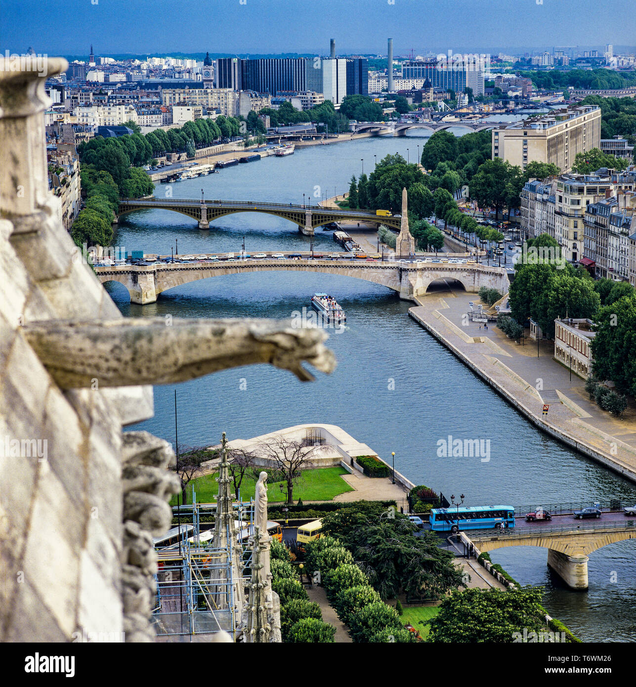 Übersicht von Notre-Dame de Paris Kathedrale, Wasserspeier, Bateau Mouche Sightseeing Kreuzfahrt Fluss Seine Boote, Brücken, Paris, Frankreich, Europa, Stockfoto