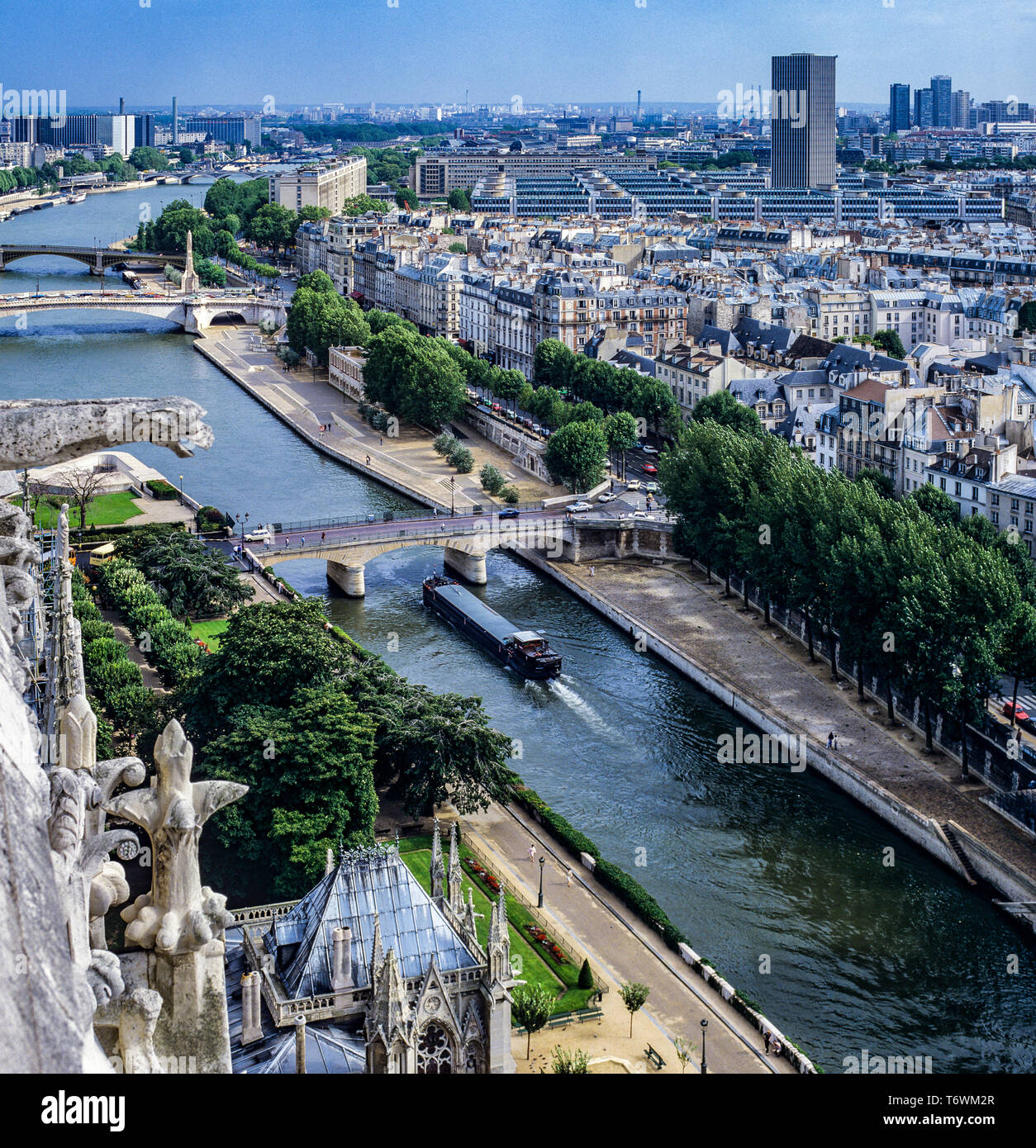 Überblick über Seine von der Kathedrale Notre-Dame de Paris, Wasserspeier, Brücken, Binnenschiff, Jussieu Tower in der Ferne, Paris, Frankreich, Europa, Stockfoto