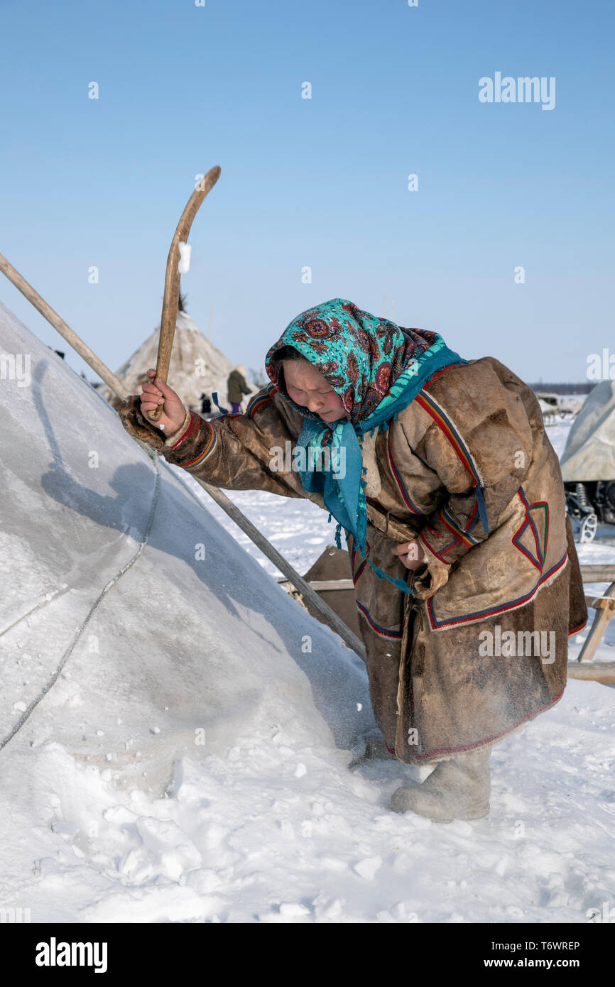 Russland, der Jamal-nenzen Autonome Region, Halbinsel Yamal, nenzen Rentier Hirten im Camp. Schlagen Schnee vom Zelt. Stockfoto