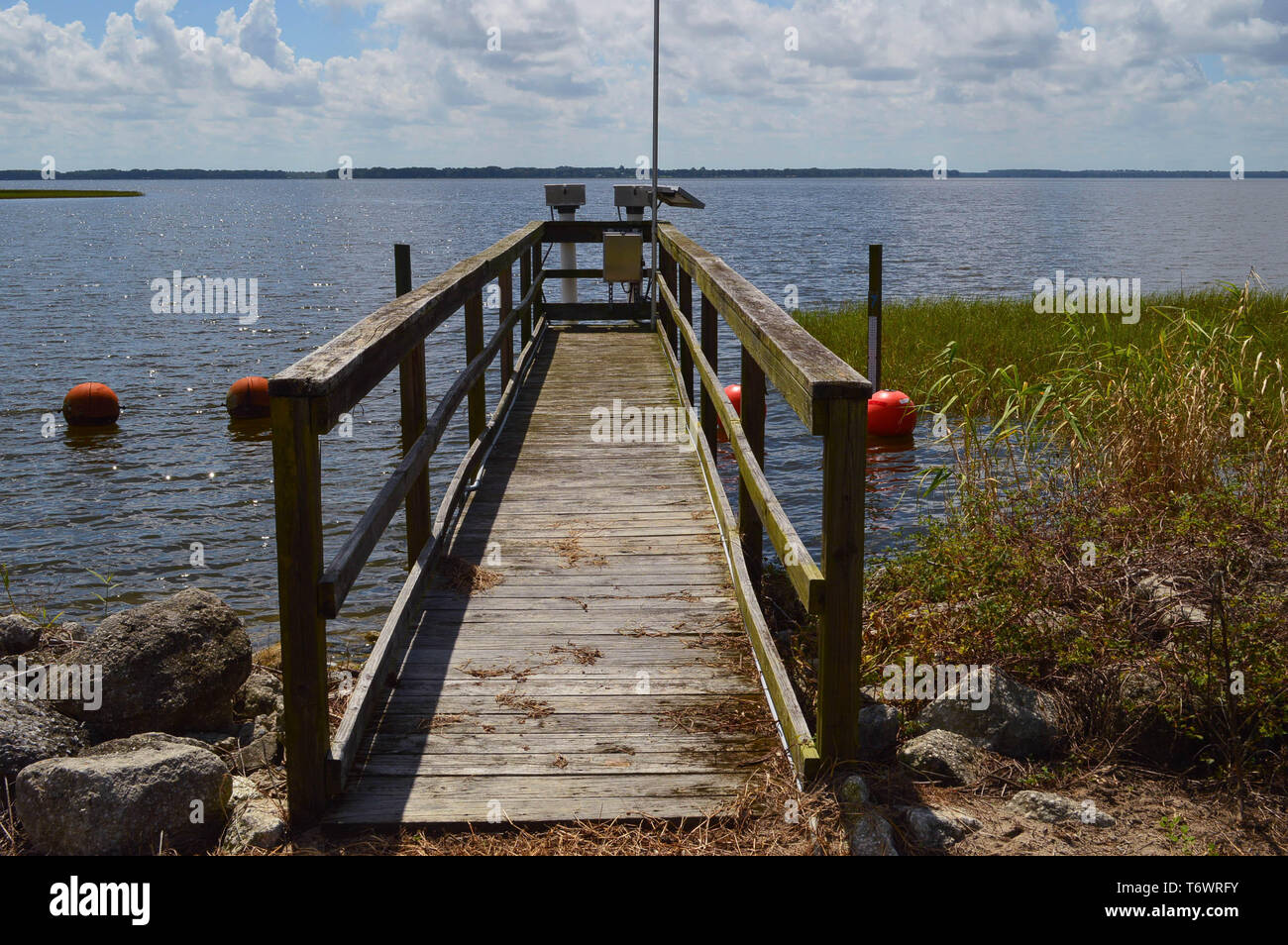 Holzterrasse Gehweg Plattform für Wasser Management Monitoring Station mit Telemetriegeräten Struktur Zugang am Lake Harris Florida Feuchtgebiet Pflanzen Stockfoto