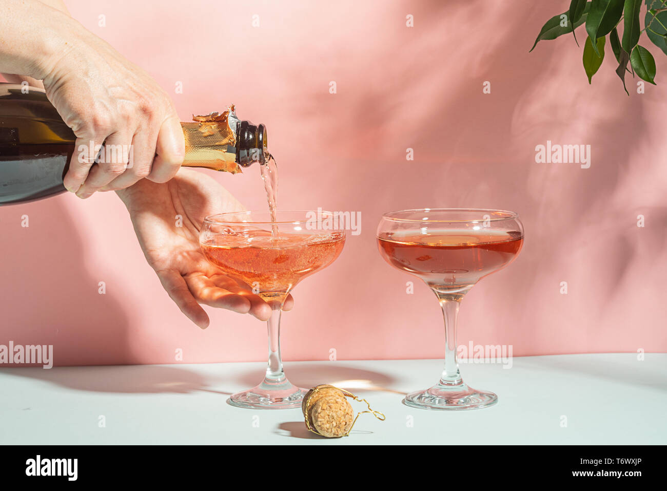 Frauenhände gießen, Champagner oder Wein in transparente elegante Gläser. Rosa pastell Hintergrund helles Licht. Kopieren Sie Platz. Stockfoto